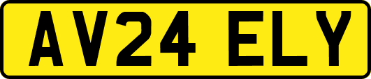 AV24ELY