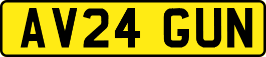 AV24GUN