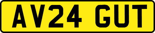 AV24GUT