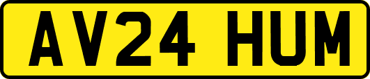 AV24HUM