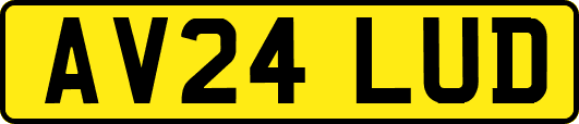 AV24LUD