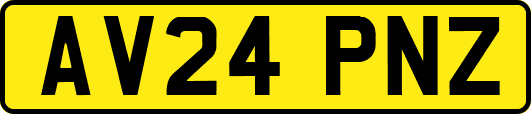 AV24PNZ