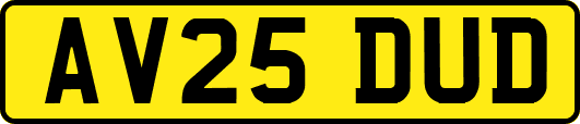 AV25DUD