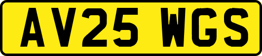 AV25WGS