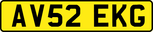 AV52EKG