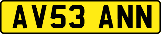 AV53ANN