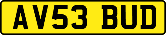AV53BUD