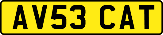 AV53CAT