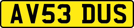 AV53DUS