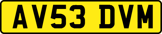 AV53DVM