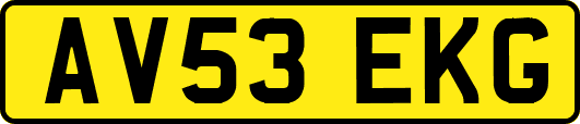 AV53EKG
