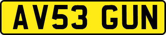 AV53GUN
