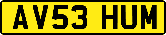 AV53HUM