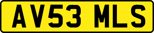 AV53MLS