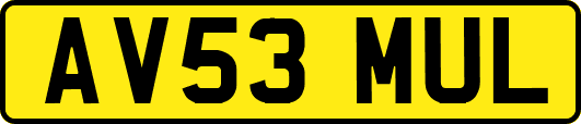 AV53MUL