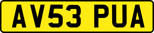 AV53PUA