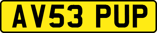 AV53PUP