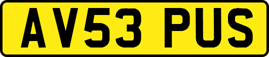 AV53PUS