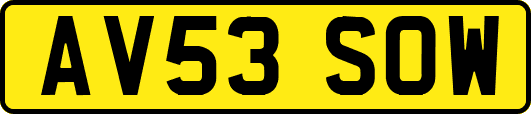 AV53SOW