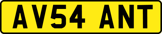AV54ANT