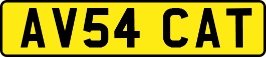 AV54CAT