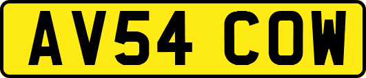 AV54COW