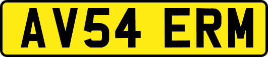 AV54ERM