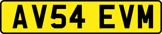 AV54EVM