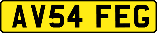 AV54FEG