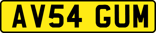 AV54GUM