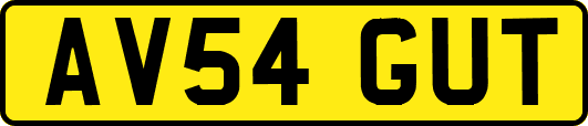 AV54GUT