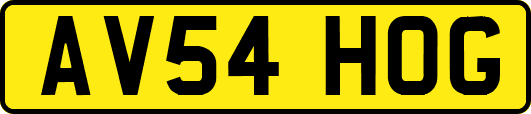 AV54HOG