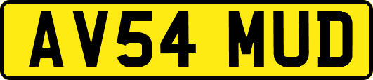AV54MUD