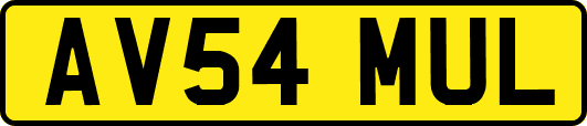 AV54MUL