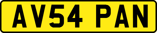 AV54PAN