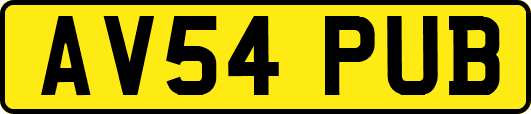 AV54PUB