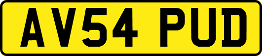 AV54PUD