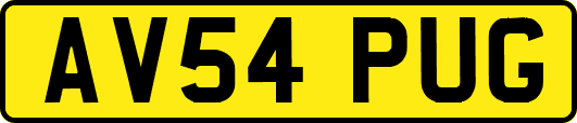 AV54PUG