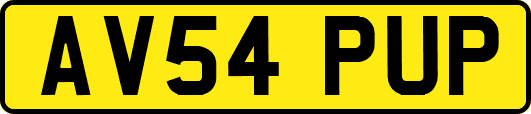 AV54PUP
