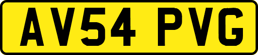 AV54PVG