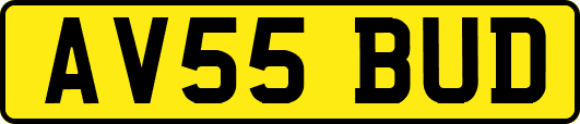 AV55BUD