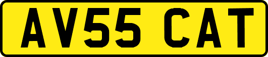 AV55CAT