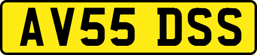 AV55DSS