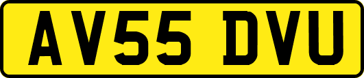 AV55DVU