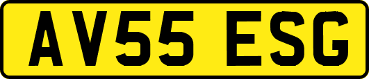 AV55ESG