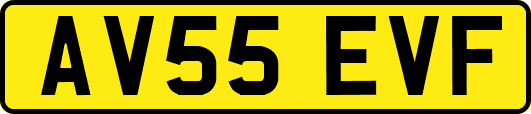 AV55EVF