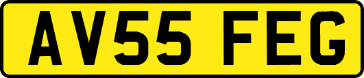 AV55FEG