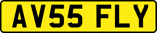 AV55FLY