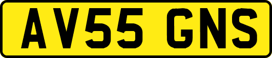 AV55GNS