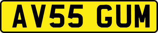 AV55GUM